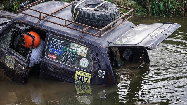 反弹案例也 反弹案例也