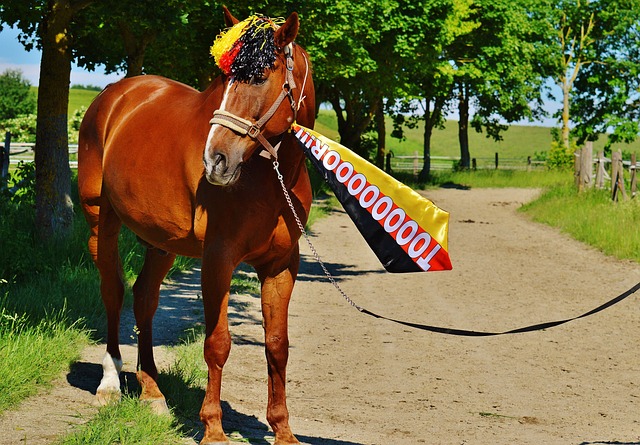 如何有效应 如何有效应