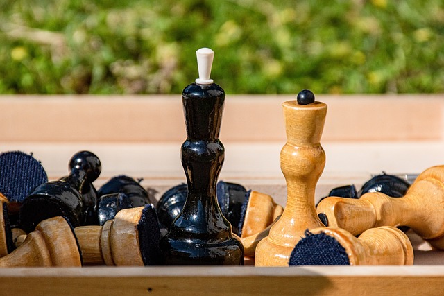 度上展示了 度上展示了