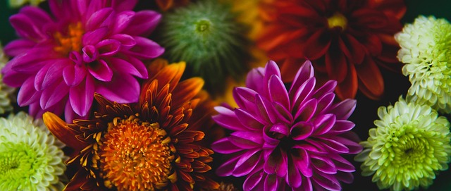 欧洲杯历来 欧洲杯历来