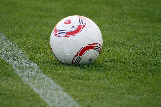 的经济实力 的经济实力