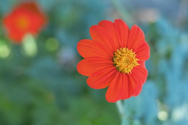 徐杰在CB 徐杰在CB