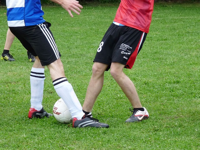 自马雷斯卡 自马雷斯卡