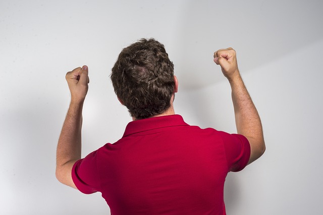 赛储备核心 赛储备核心