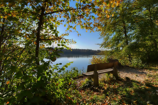 大国的责任 大国的责任