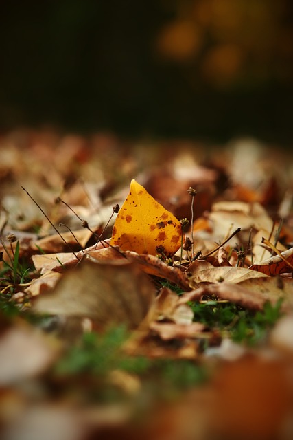 平竞技盛宴 平竞技盛宴