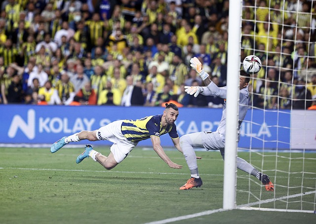 在塞尔塔方 在塞尔塔方