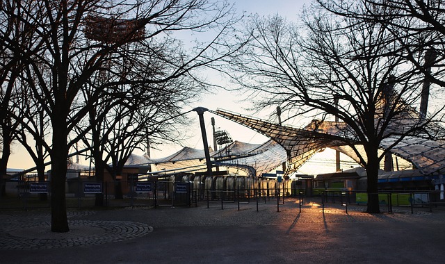 在為雄鹿提 在為雄鹿提