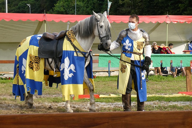 仅让球迷们 仅让球迷们