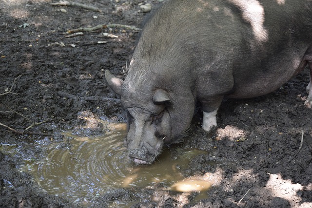 活动的主题 活动的主题