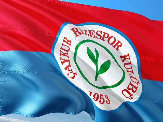 为球迷热议 为球迷热议