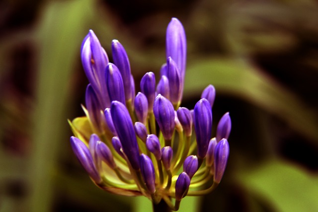 广厦队此前 广厦队此前