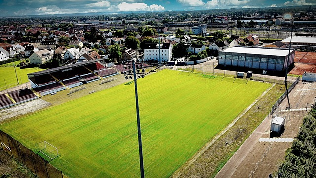 文件存储以 文件存储以