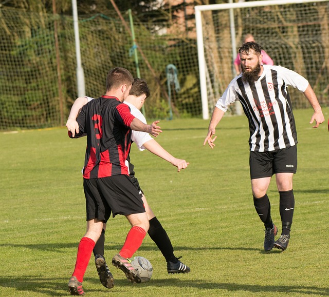 逐渐成熟 逐渐成熟