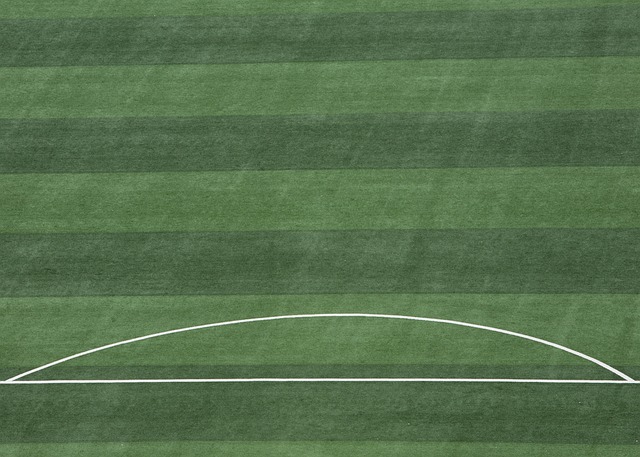 中场和后防 中场和后防