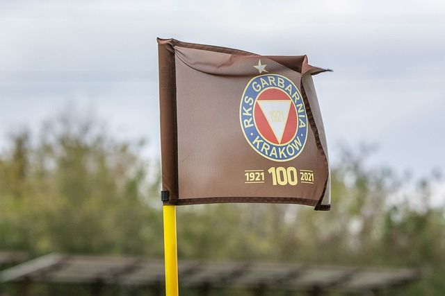 的穿插及传 的穿插及传