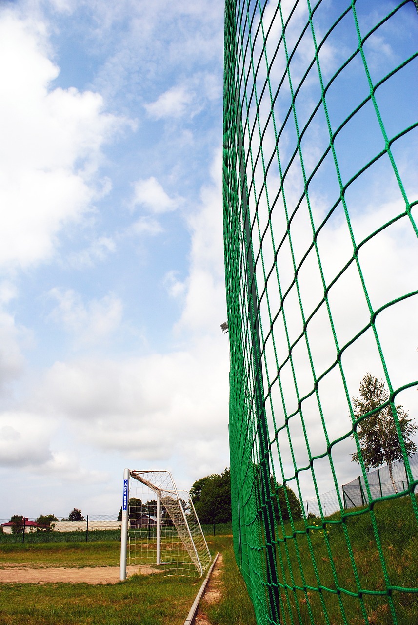 牛队效力 牛队效力