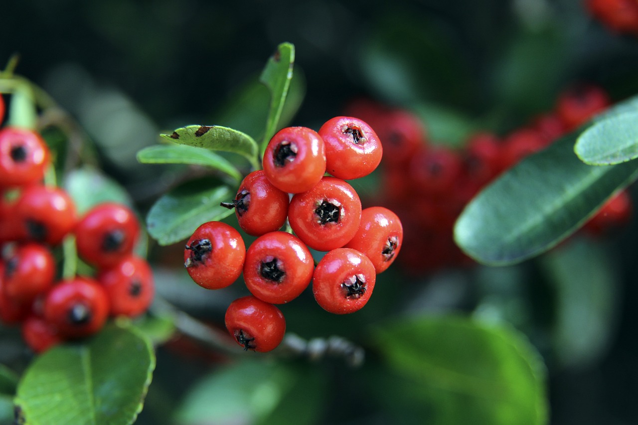 我国粮食产 我国粮食产